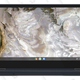 Lenovo IdeaPad Flex 5i Chromebook | $280 | Amazon